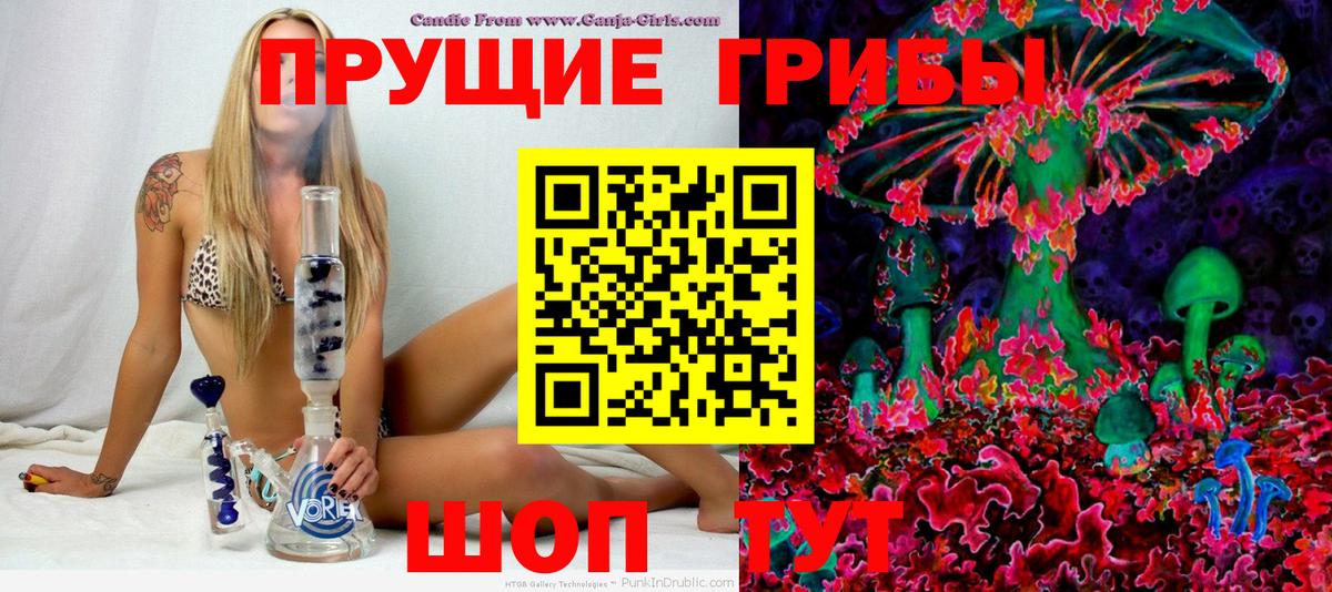 Галлюциногенные грибы Cubensis Тейково